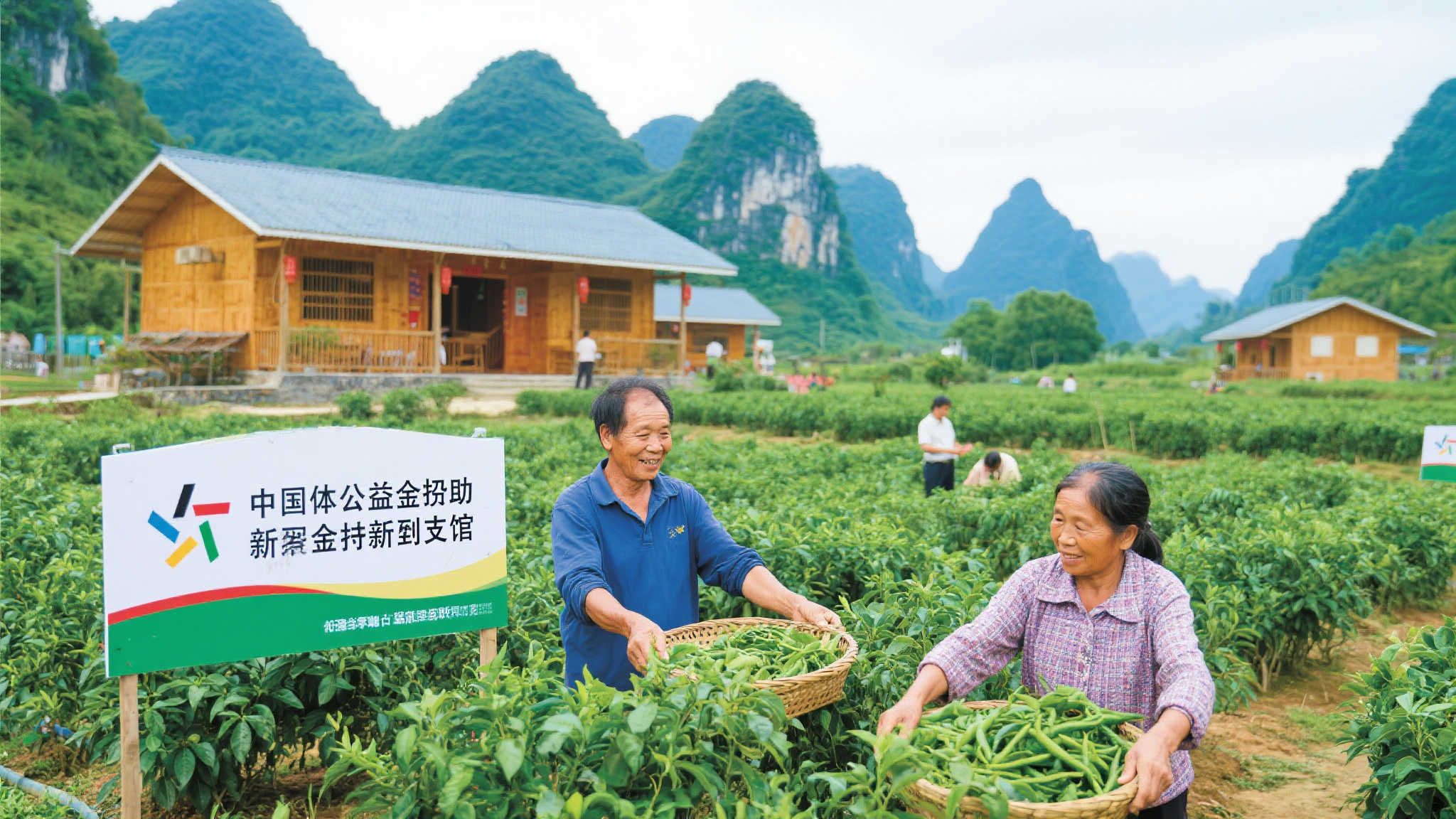 近年来，凌云县持续发挥本地资源优势，以农